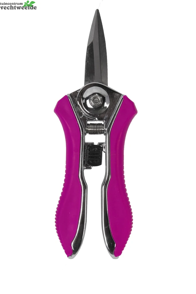 Talen Tools Bloemenschaar Violet 2 Talen Tools Bloemenschaar Violet - Afbeelding 2