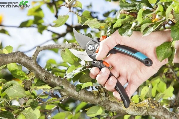 Gardena Comfort Snoeischaar B/s-xlpromo 30 2 Gardena Comfort Snoeischaar B/s-xlpromo 30 - Afbeelding 2