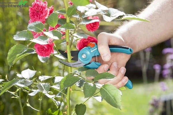 Gardena Display Snoeischaren 30x 8857 2 Gardena Display Snoeischaren 30x 8857 - Afbeelding 2