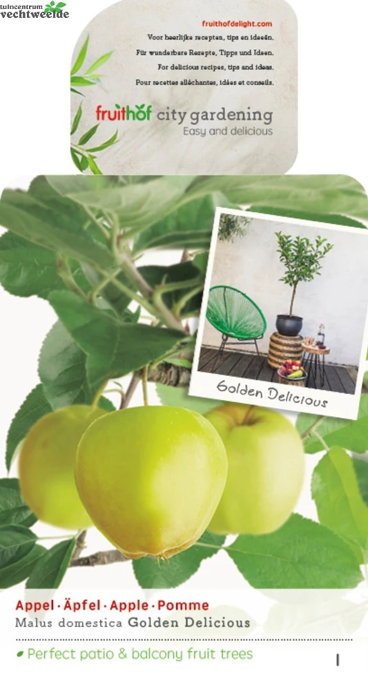 Malus Dom. Golden Del. Patio Vp5 1 Malus Dom. Golden Del. Patio Vp5