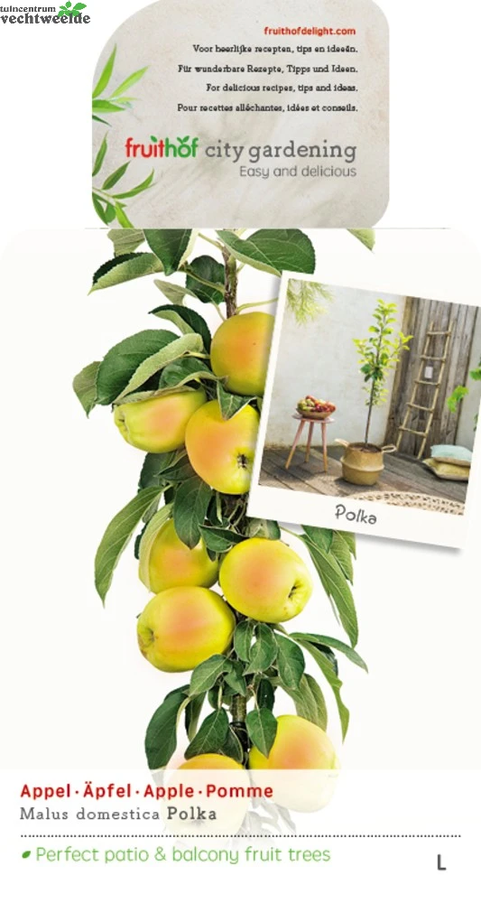 Malus Dom. Polka Zuilvorm Vp5 1 Malus Dom. Polka Zuilvorm Vp5