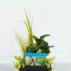 Mix Mand 18 Cm Met Drijfring