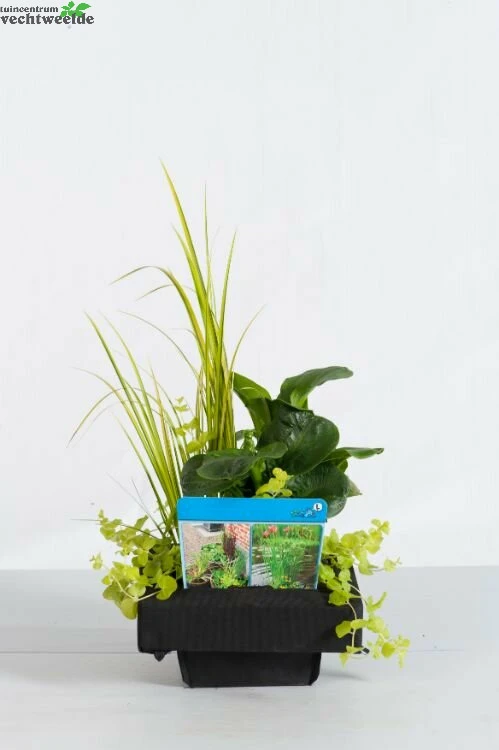 Mix Mand 18 Cm Met Drijfring 1 Mix Mand 18 Cm Met Drijfring