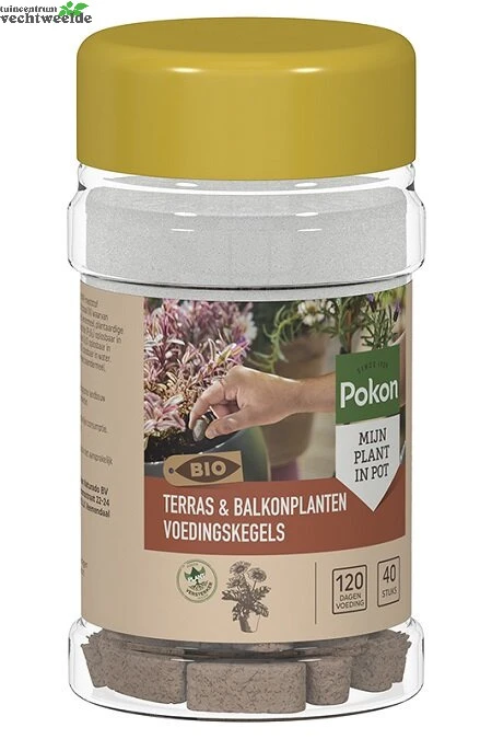 Pokon Bio Terras & Balkon Planten Voedingskegels 40 Stuks 1 Pokon Bio Terras & Balkon Planten Voedingskegels 40 Stuks