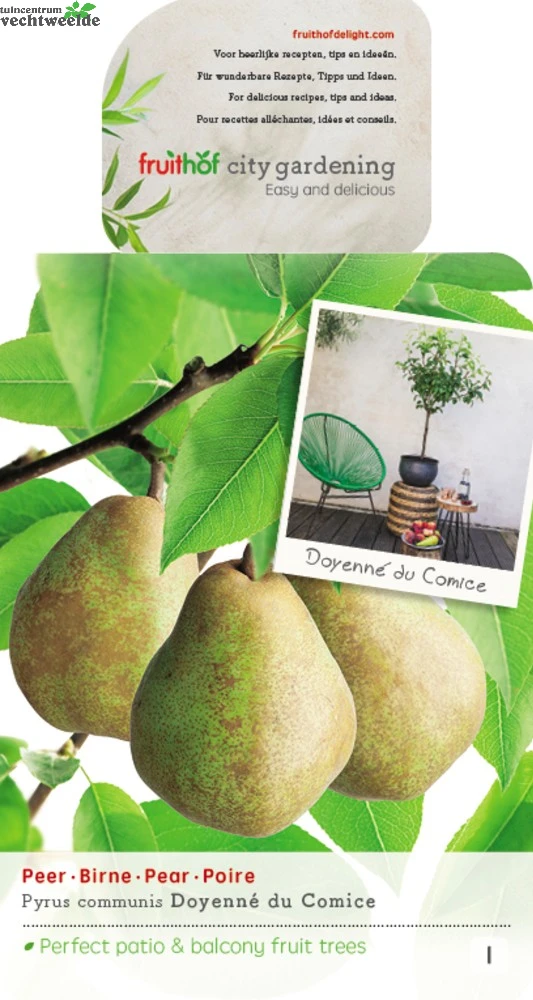 Pyrus C. 'Doyenné Du Comice' 1 Pyrus C. 'Doyenné Du Comice'