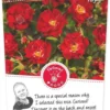 Rosa Rambling Rosie Stok100 C3RP