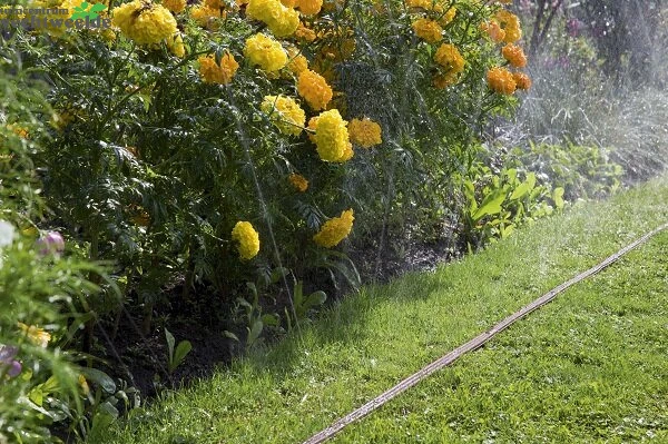 Gardena Sproeislang 15m Bruin 3 Gardena Sproeislang 15m Bruin - Afbeelding 3