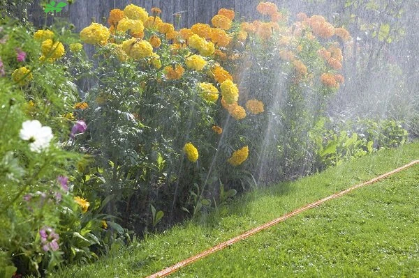 Gardena Sproeislang 7.5 Mtr 2 Gardena Sproeislang 7.5 Mtr - Afbeelding 2