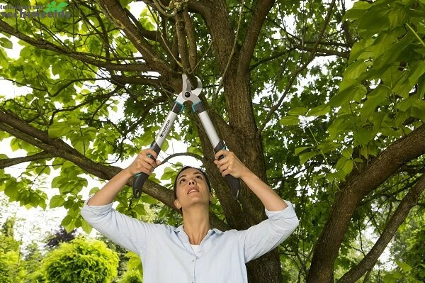 Gardena Takkenschaar Easycut 500 B 2 Gardena Takkenschaar Easycut 500 B - Afbeelding 2