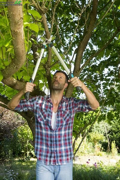 Gardena Takkenschaar Easycut 680 B 2 Gardena Takkenschaar Easycut 680 B - Afbeelding 2